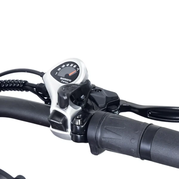 Hidoes B6 Electric Bike - Image 13